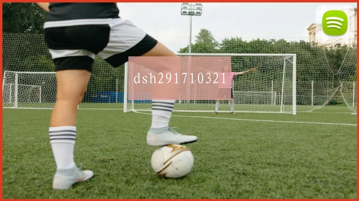 dsh291710321
