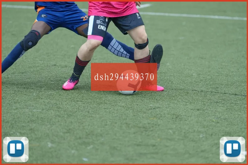 dsh294439370