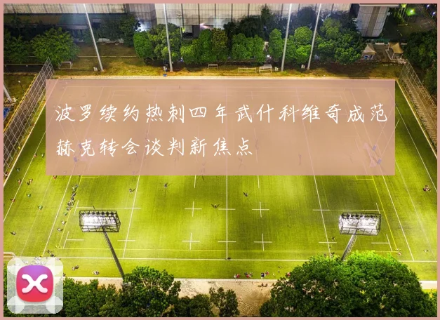 波罗续约热刺四年武什科维奇成范赫克转会谈判新焦点